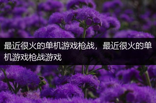 最近很火的单机游戏枪战，最近很火的单机游戏枪战游戏