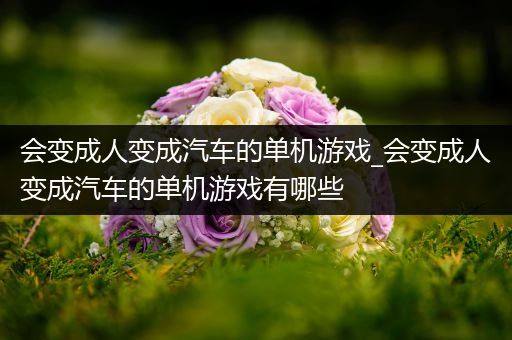 会变成人变成汽车的单机游戏_会变成人变成汽车的单机游戏有哪些
