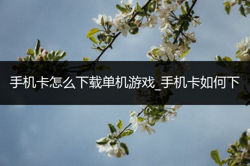 手机卡怎么下载单机游戏_手机卡如何下