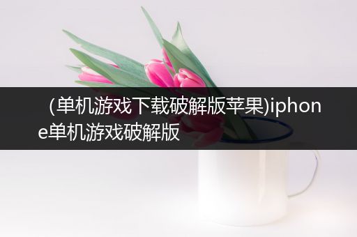 （单机游戏下载破解版苹果)iphone单机游戏破解版