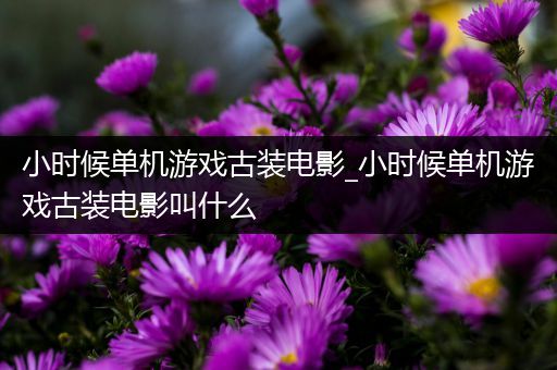 小时候单机游戏古装电影_小时候单机游戏古装电影叫什么