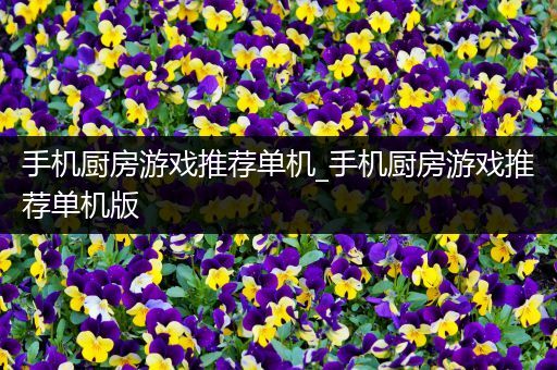 手机厨房游戏推荐单机_手机厨房游戏推荐单机版