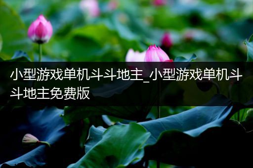 小型游戏单机斗斗地主_小型游戏单机斗斗地主免费版