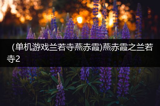 （单机游戏兰若寺燕赤霞)燕赤霞之兰若寺2
