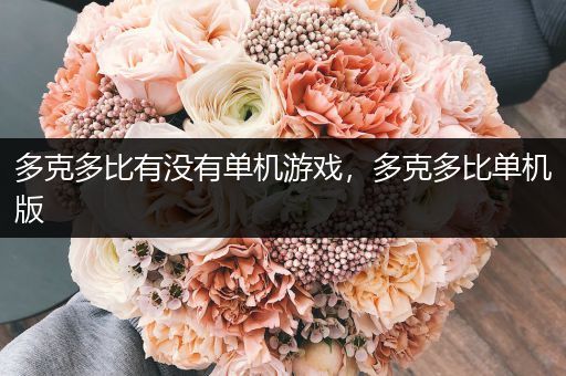 多克多比有没有单机游戏，多克多比单机版