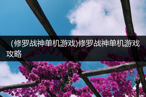 （修罗战神单机游戏)修罗战神单机游戏攻略