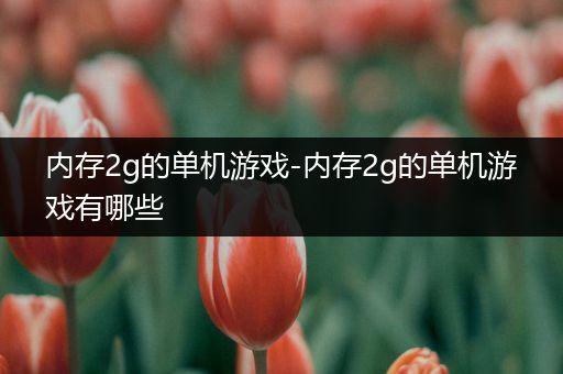 内存2g的单机游戏-内存2g的单机游戏有哪些
