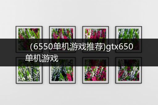 （6550单机游戏推荐)gtx650单机游戏