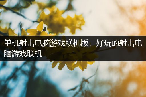 单机射击电脑游戏联机版，好玩的射击电脑游戏联机