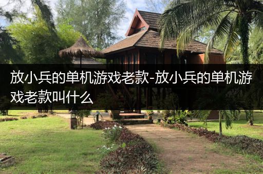 放小兵的单机游戏老款-放小兵的单机游戏老款叫什么