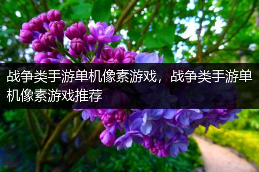 战争类手游单机像素游戏，战争类手游单机像素游戏推荐