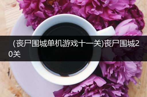 （丧尸围城单机游戏十一关)丧尸围城20关