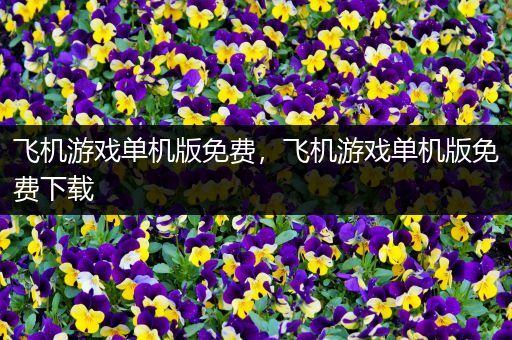 飞机游戏单机版免费，飞机游戏单机版免费下载