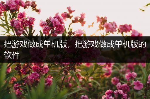 把游戏做成单机版，把游戏做成单机版的软件