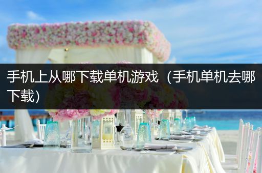 手机上从哪下载单机游戏（手机单机去哪下载）