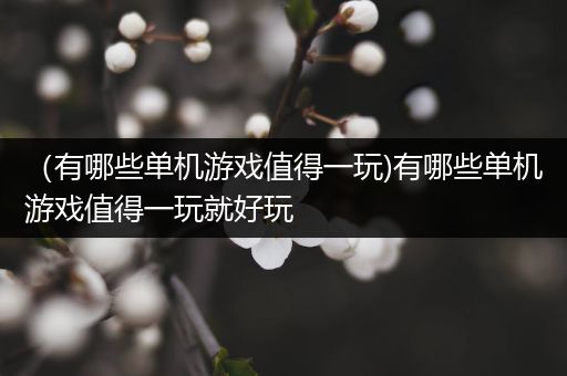（有哪些单机游戏值得一玩)有哪些单机游戏值得一玩就好玩