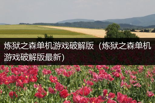 炼狱之森单机游戏破解版（炼狱之森单机游戏破解版最新）