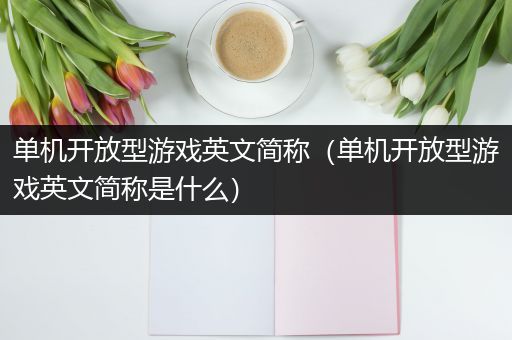单机开放型游戏英文简称（单机开放型游戏英文简称是什么）