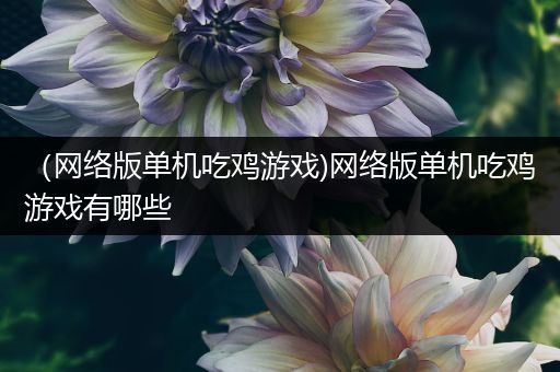 （网络版单机吃鸡游戏)网络版单机吃鸡游戏有哪些