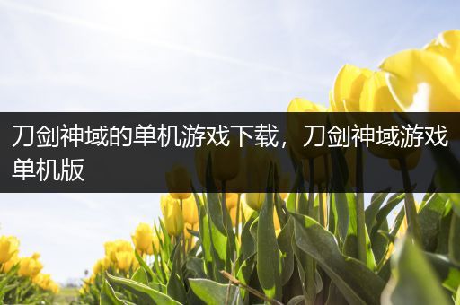 刀剑神域的单机游戏下载，刀剑神域游戏单机版