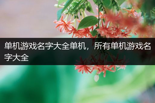 单机游戏名字大全单机，所有单机游戏名字大全