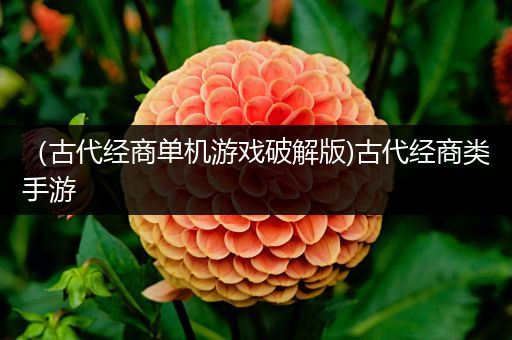 （古代经商单机游戏破解版)古代经商类手游