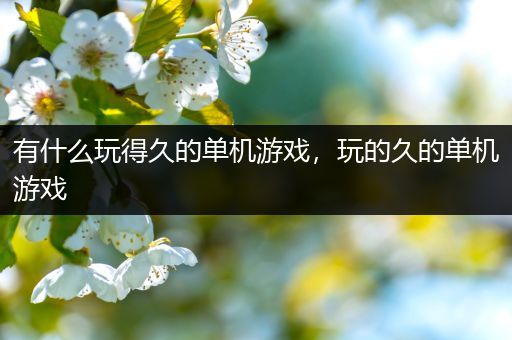有什么玩得久的单机游戏，玩的久的单机游戏