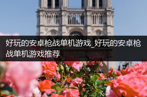 好玩的安卓枪战单机游戏_好玩的安卓枪战单机游戏推荐