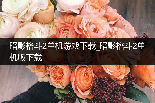暗影格斗2单机游戏下载_暗影格斗2单机版下载