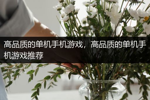 高品质的单机手机游戏，高品质的单机手机游戏推荐