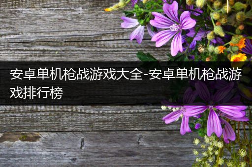 安卓单机枪战游戏大全-安卓单机枪战游戏排行榜