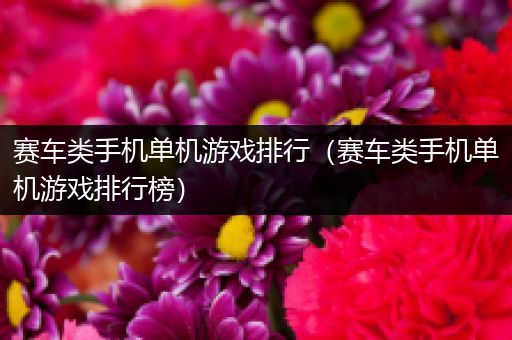 赛车类手机单机游戏排行（赛车类手机单机游戏排行榜）