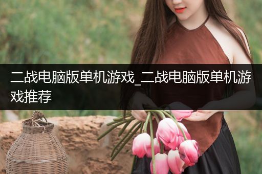 二战电脑版单机游戏_二战电脑版单机游戏推荐