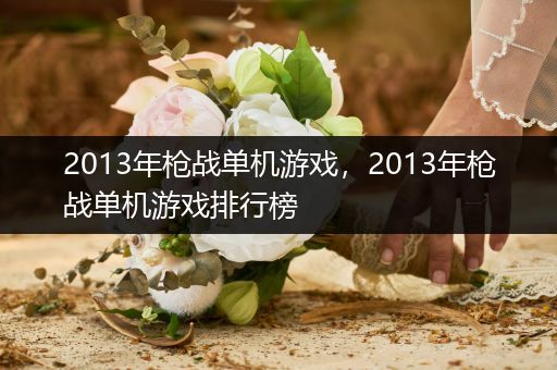 2013年枪战单机游戏，2013年枪战单机游戏排行榜