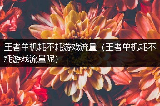 王者单机耗不耗游戏流量（王者单机耗不耗游戏流量呢）