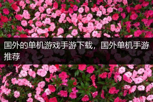 国外的单机游戏手游下载，国外单机手游推荐