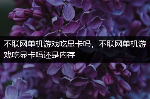 不联网单机游戏吃显卡吗，不联网单机游戏吃显卡吗还是内存