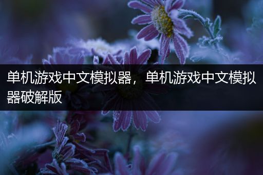 单机游戏中文模拟器，单机游戏中文模拟器破解版
