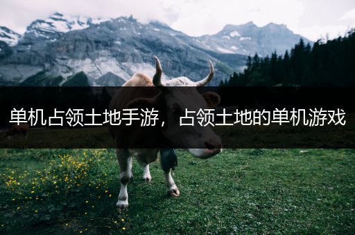 单机占领土地手游，占领土地的单机游戏