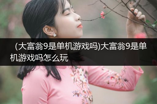 （大富翁9是单机游戏吗)大富翁9是单机游戏吗怎么玩