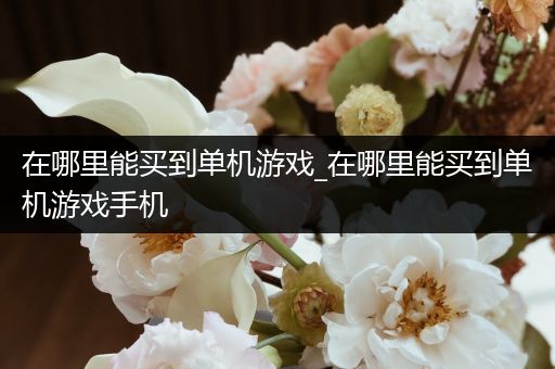 在哪里能买到单机游戏_在哪里能买到单机游戏手机