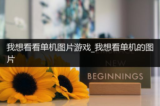 我想看看单机图片游戏_我想看单机的图片