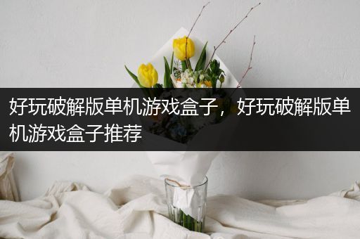 好玩破解版单机游戏盒子，好玩破解版单机游戏盒子推荐