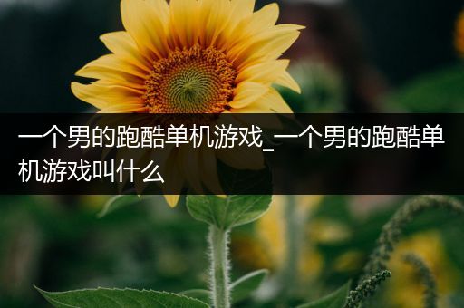 一个男的跑酷单机游戏_一个男的跑酷单机游戏叫什么