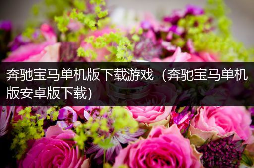 奔驰宝马单机版下载游戏（奔驰宝马单机版安卓版下载）