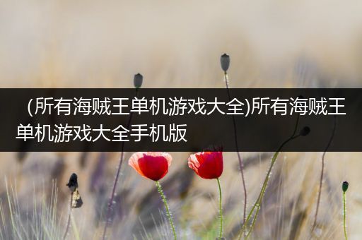 （所有海贼王单机游戏大全)所有海贼王单机游戏大全手机版