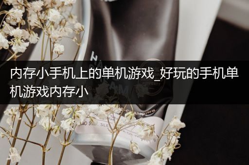 内存小手机上的单机游戏_好玩的手机单机游戏内存小