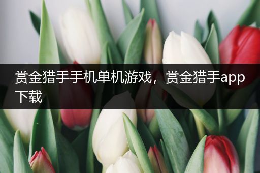 赏金猎手手机单机游戏，赏金猎手app下载