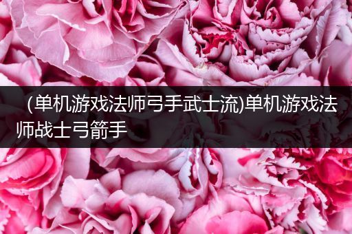 （单机游戏法师弓手武士流)单机游戏法师战士弓箭手
