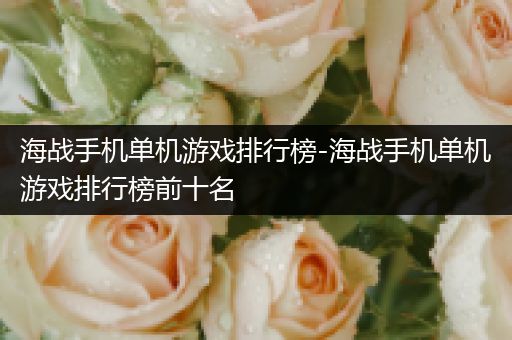 海战手机单机游戏排行榜-海战手机单机游戏排行榜前十名